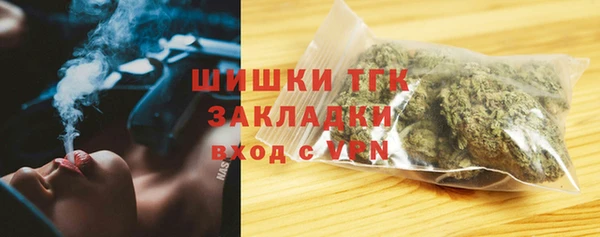 сатива Горнозаводск