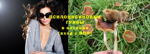 прущая мука Горняк