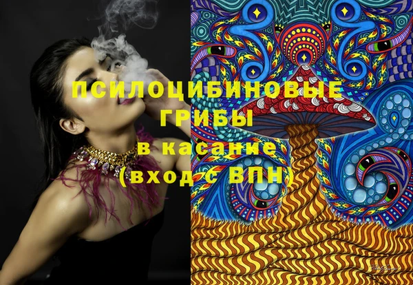 прущая мука Горняк